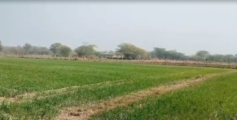  7 Bigha Agricultural/Farm Land for Sale in Bhatewar, Udaipur