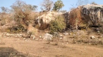  Agricultural Land for Sale in Kurabad, Udaipur