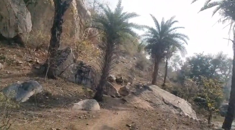  16 Bigha Agricultural/Farm Land for Sale in Kurabad, Udaipur