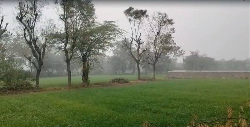  4 Bigha Agricultural/Farm Land for Sale in Dabok, Udaipur