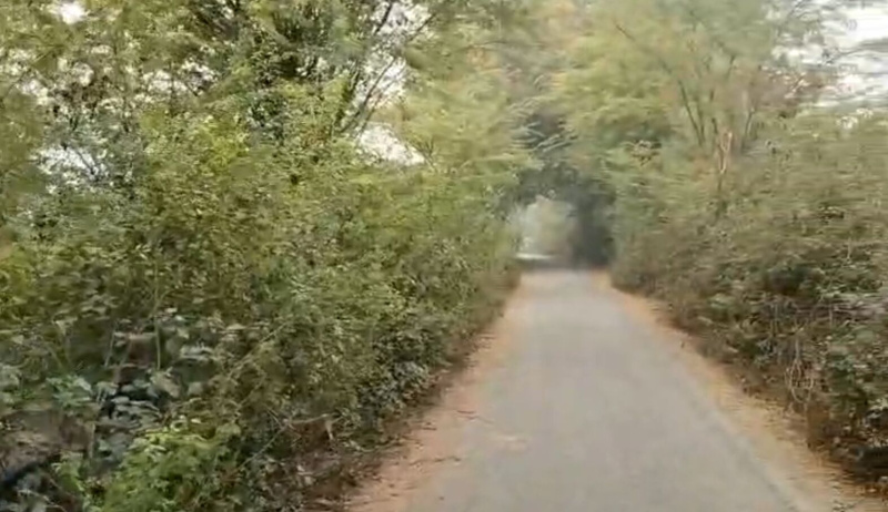  4 Bigha Agricultural/Farm Land for Sale in Dabok, Udaipur