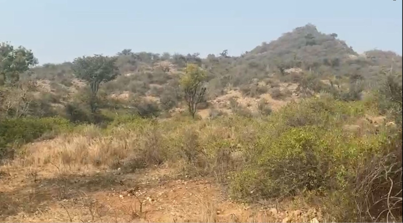  34 Bigha Agricultural/Farm Land for Sale in Nathdwara Road, Udaipur