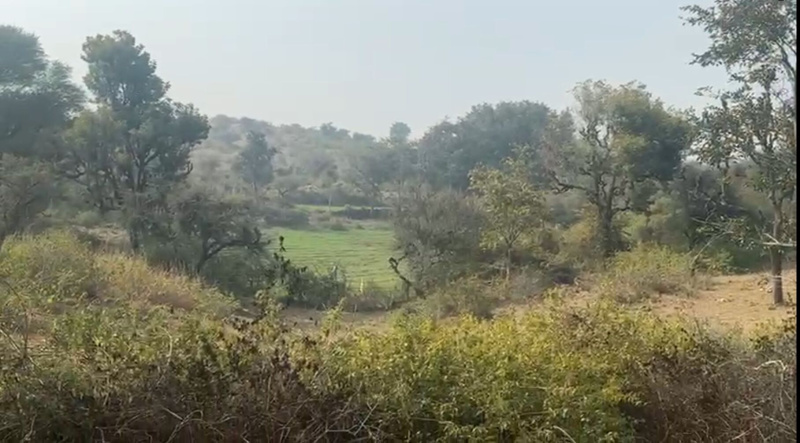  34 Bigha Agricultural/Farm Land for Sale in Nathdwara Road, Udaipur