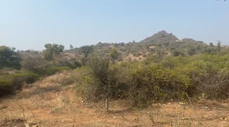  34 Bigha Agricultural/Farm Land for Sale in Nathdwara Road, Udaipur