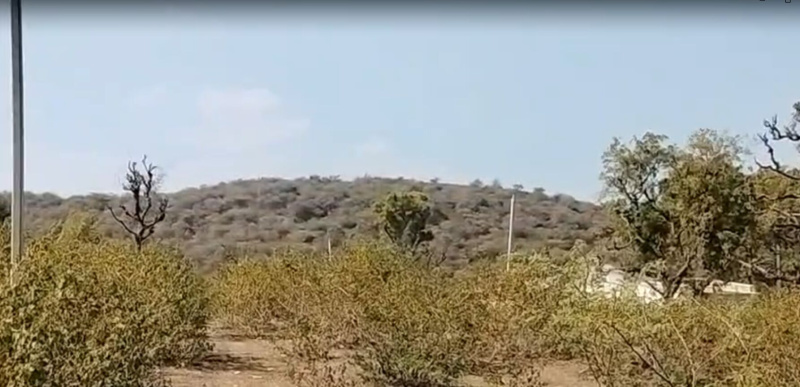  107 Bigha Agricultural/Farm Land for Sale in Nathdwara Road, Udaipur