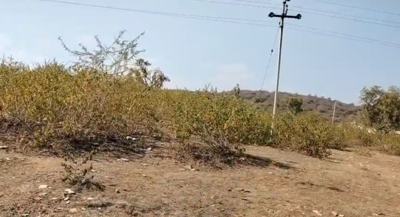  107 Bigha Agricultural/Farm Land for Sale in Nathdwara Road, Udaipur