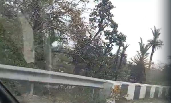  70 Bigha Agricultural/Farm Land for Sale in Nathdwara, Rajsamand