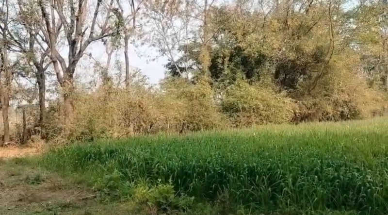  58000 Sq.ft. Industrial Land for Sale in Girwa, Udaipur