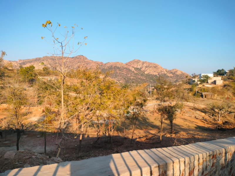  30000 Sq.ft. Agricultural/Farm Land for Sale in Badi, Udaipur