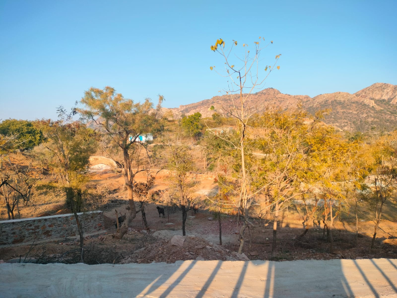  30000 Sq.ft. Agricultural/Farm Land for Sale in Badi, Udaipur