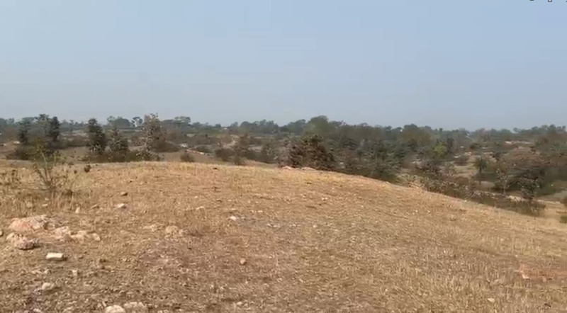  66 Bigha Agricultural/Farm Land for Sale in Adinath Nagar, Udaipur