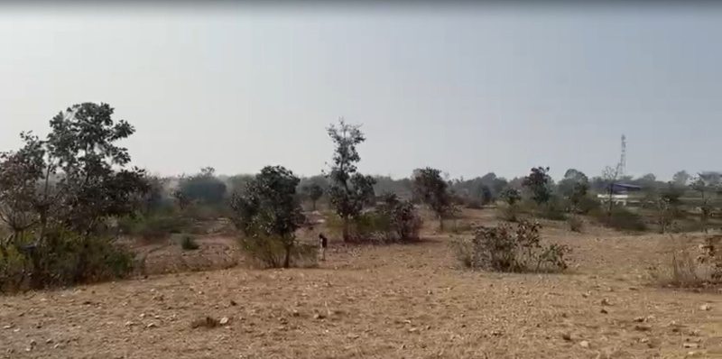  66 Bigha Agricultural/Farm Land for Sale in Adinath Nagar, Udaipur