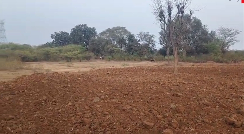  13 Bigha Agricultural/Farm Land for Sale in Dabok, Udaipur