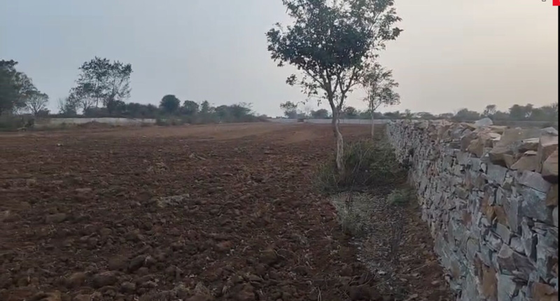  13 Bigha Agricultural/Farm Land for Sale in Dabok, Udaipur