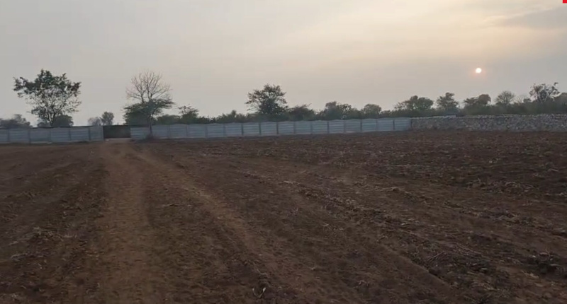  13 Bigha Agricultural/Farm Land for Sale in Dabok, Udaipur