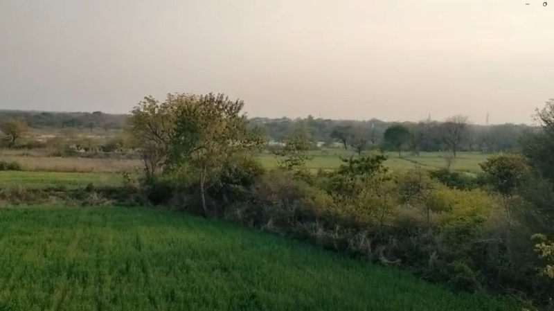  17 Bigha Agricultural/Farm Land for Sale in Mavli, Udaipur