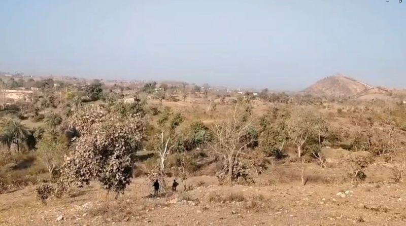  21 Bigha Agricultural/Farm Land for Sale in Kurabad, Udaipur