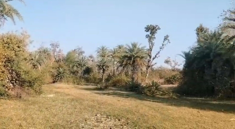  21 Bigha Agricultural/Farm Land for Sale in Kurabad, Udaipur