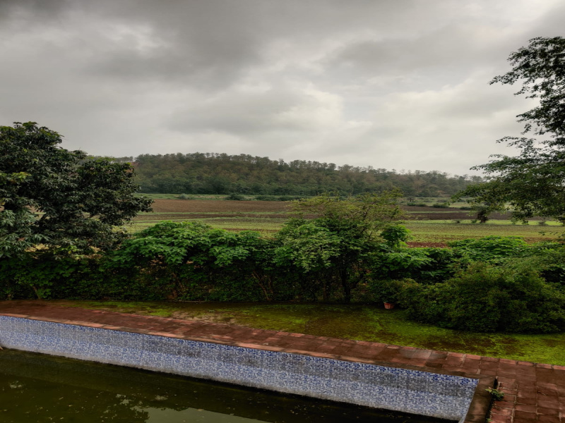  150 Bigha Agricultural/Farm Land for Sale in Dhariawad, Pratapgarh