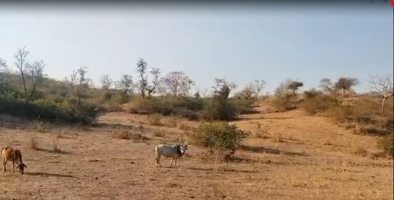  8 Bigha Agricultural/Farm Land for Sale in Kurabad, Udaipur