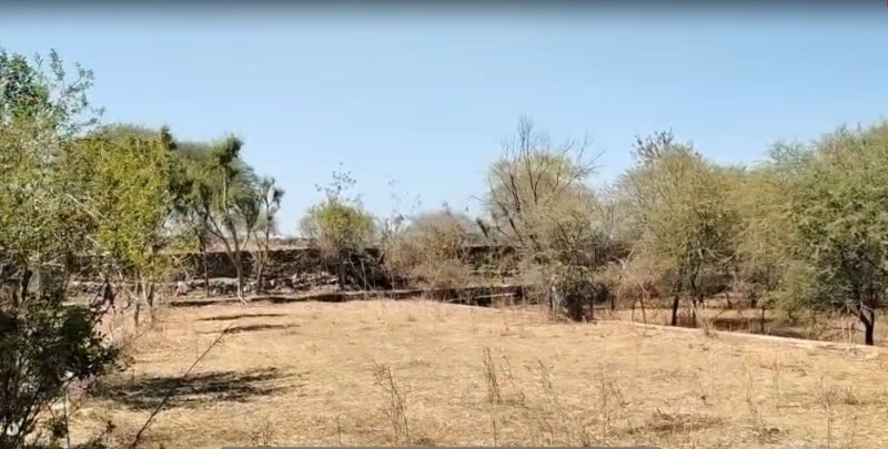  65000 Sq.ft. Agricultural/Farm Land for Sale in Nathdwara Road, Udaipur