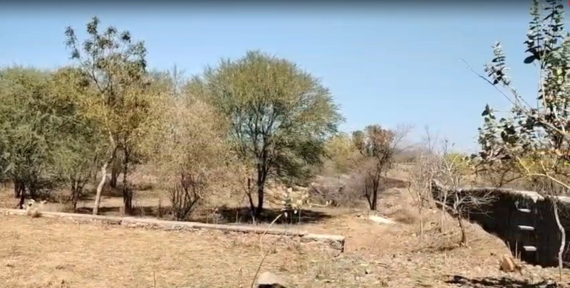  65000 Sq.ft. Agricultural/Farm Land for Sale in Nathdwara Road, Udaipur