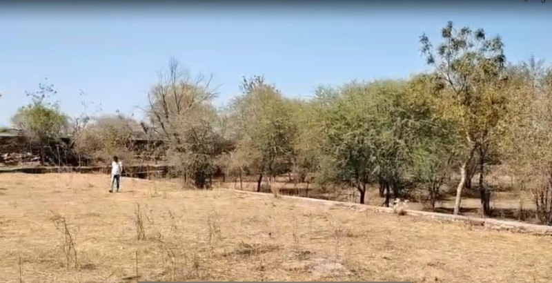  65000 Sq.ft. Agricultural/Farm Land for Sale in Nathdwara Road, Udaipur