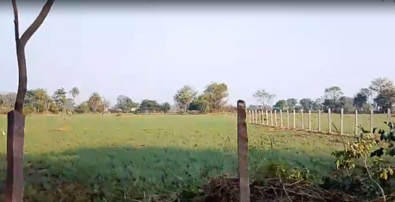  3 Bigha Agricultural/Farm Land for Sale in Bhatewar, Udaipur