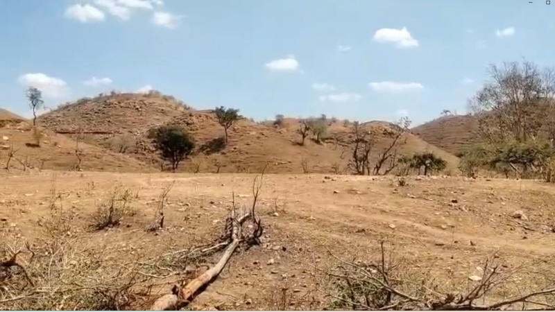  5 Bigha Agricultural/Farm Land for Sale in Kurabad, Udaipur