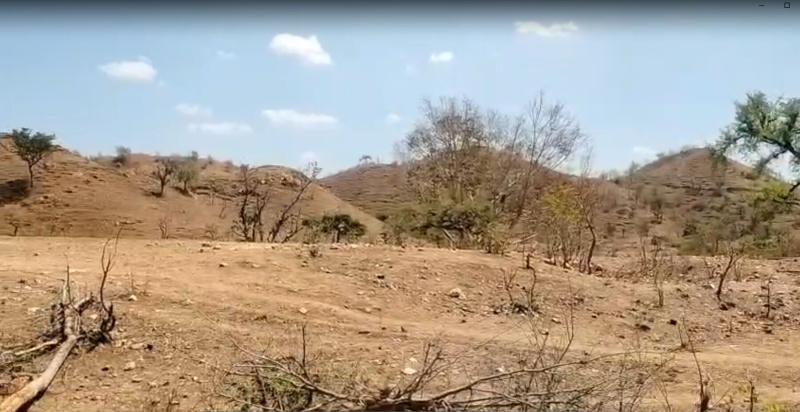  5 Bigha Agricultural/Farm Land for Sale in Kurabad, Udaipur