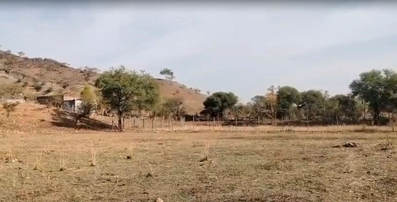  25 Bigha Agricultural/Farm Land for Sale in Kurabad, Udaipur