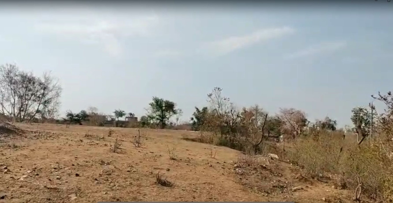  25 Bigha Agricultural/Farm Land for Sale in Kurabad, Udaipur