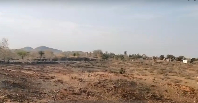  6 Bigha Agricultural/Farm Land for Sale in Girwa, Udaipur