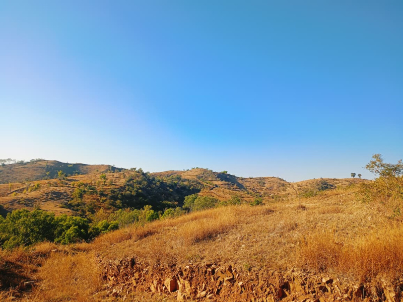  3 Bigha Agricultural/Farm Land for Sale in Gogunda, Udaipur