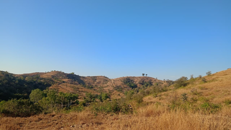  3 Bigha Agricultural/Farm Land for Sale in Gogunda, Udaipur
