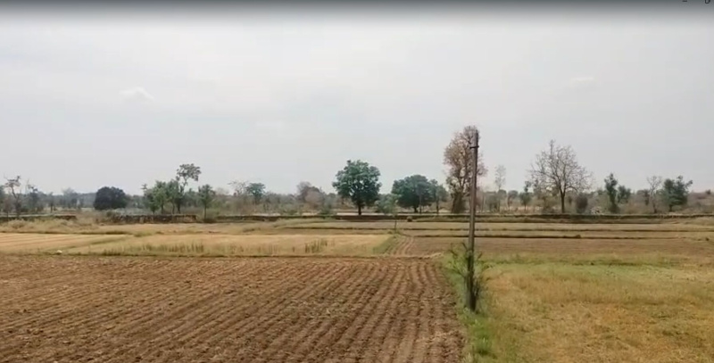  65 Bigha Agricultural/Farm Land for Sale in Salumbar, Udaipur
