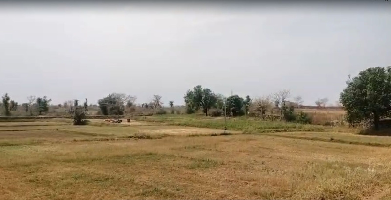  65 Bigha Agricultural/Farm Land for Sale in Salumbar, Udaipur