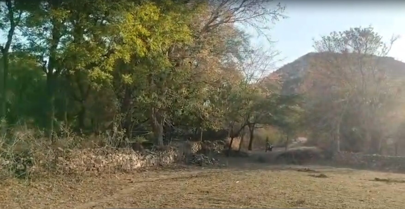  3 Bigha Agricultural/Farm Land for Sale in Debari, Udaipur