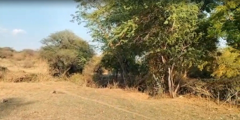  3 Bigha Agricultural/Farm Land for Sale in Debari, Udaipur