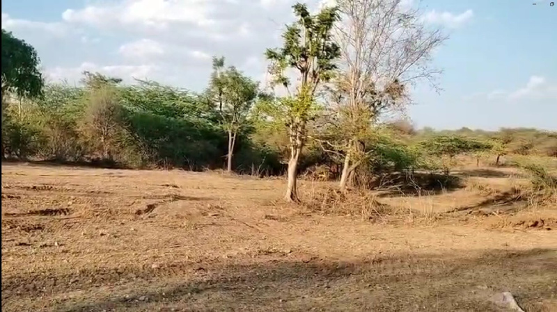  3 Bigha Agricultural/Farm Land for Sale in Debari, Udaipur