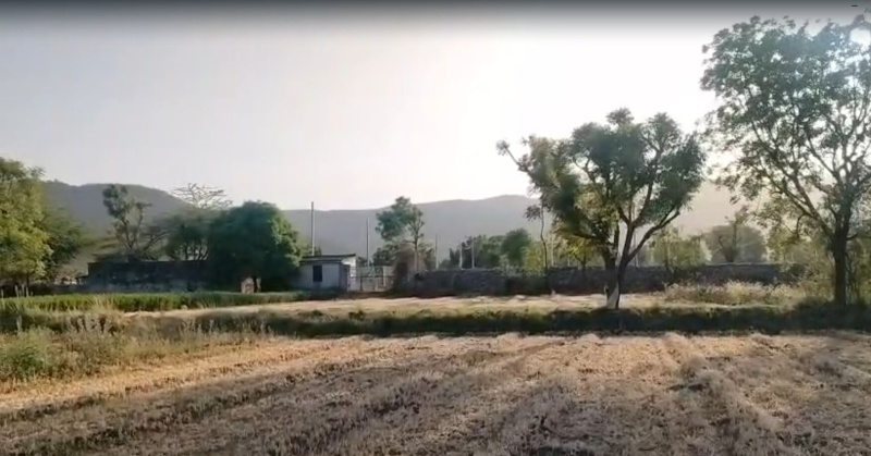  5 Bigha Agricultural/Farm Land for Sale in Debari, Udaipur