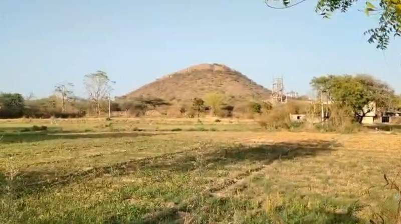  5 Bigha Agricultural/Farm Land for Sale in Debari, Udaipur