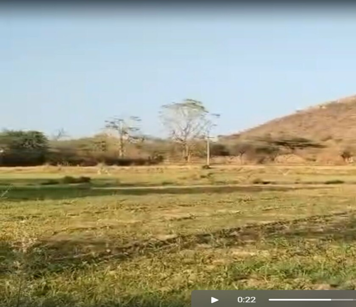  5 Bigha Agricultural/Farm Land for Sale in Debari, Udaipur