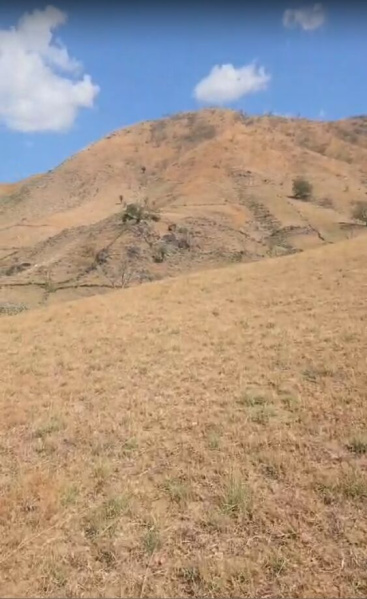  50 Bigha Agricultural/Farm Land for Sale in Kumbhalgarh, Rajsamand