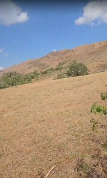  50 Bigha Agricultural/Farm Land for Sale in Kumbhalgarh, Rajsamand