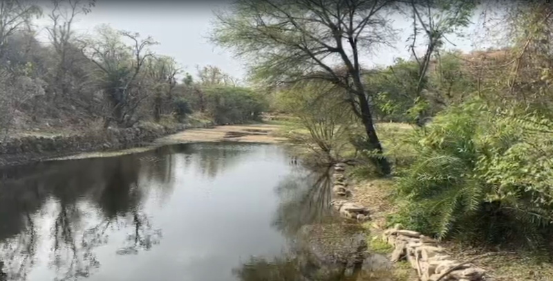  5 Bigha Agricultural/Farm Land for Sale in Debari, Udaipur