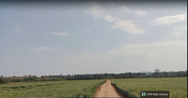 40 Bigha Agricultural/Farm Land for Sale in Salumbar, Udaipur