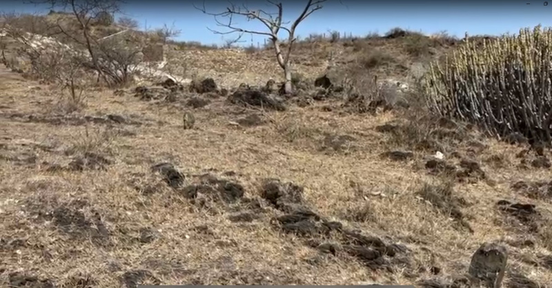  30000 Sq.ft. Residential Plot for Sale in Eklingji, Udaipur