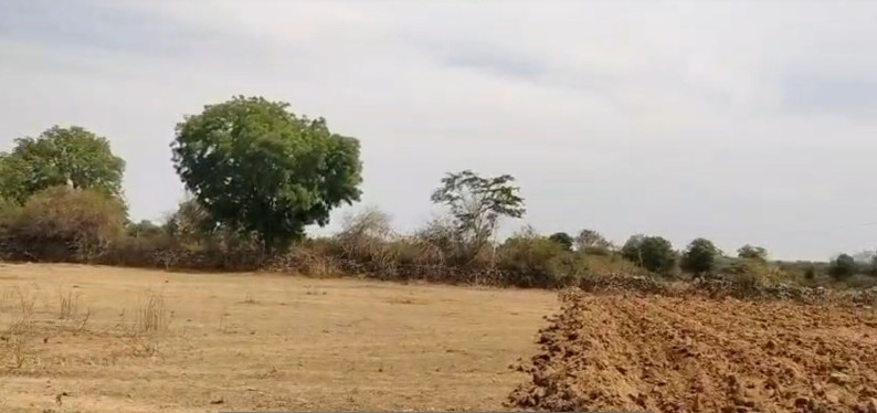  6 Bigha Agricultural/Farm Land for Sale in Dabok, Udaipur