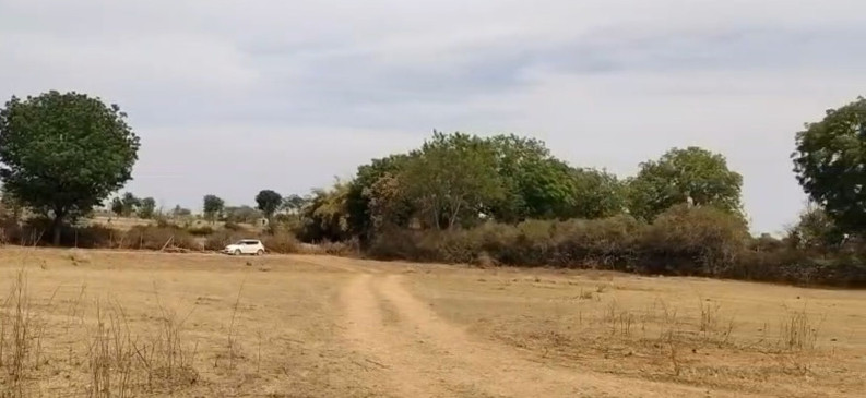  6 Bigha Agricultural/Farm Land for Sale in Dabok, Udaipur